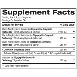 BPI Best BCAA 300 gram 
